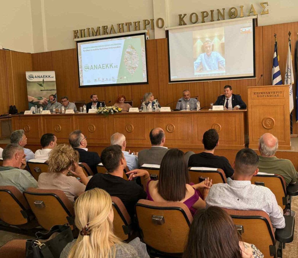 Παναγιώτης Λουζιώτης, Πρόεδρος Επιμελητηρίου Κορινθίας