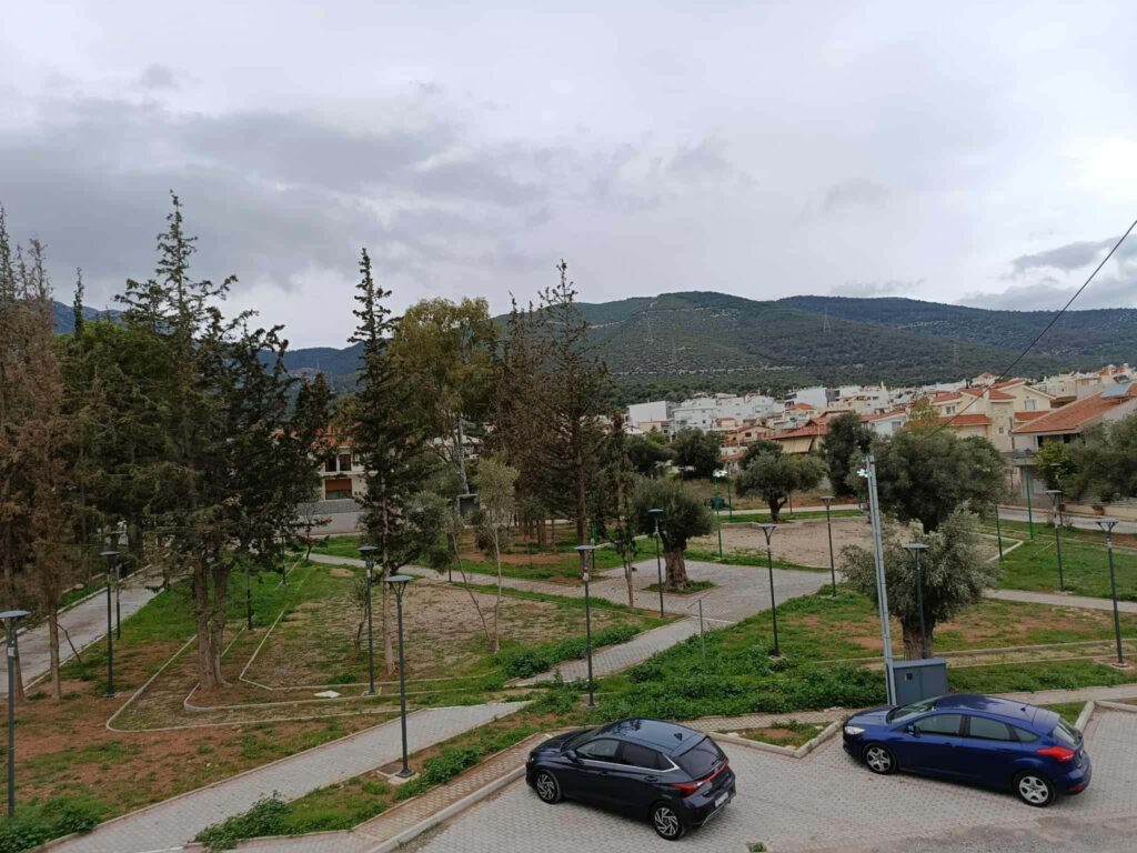 anaplasi-solwmou-paiania