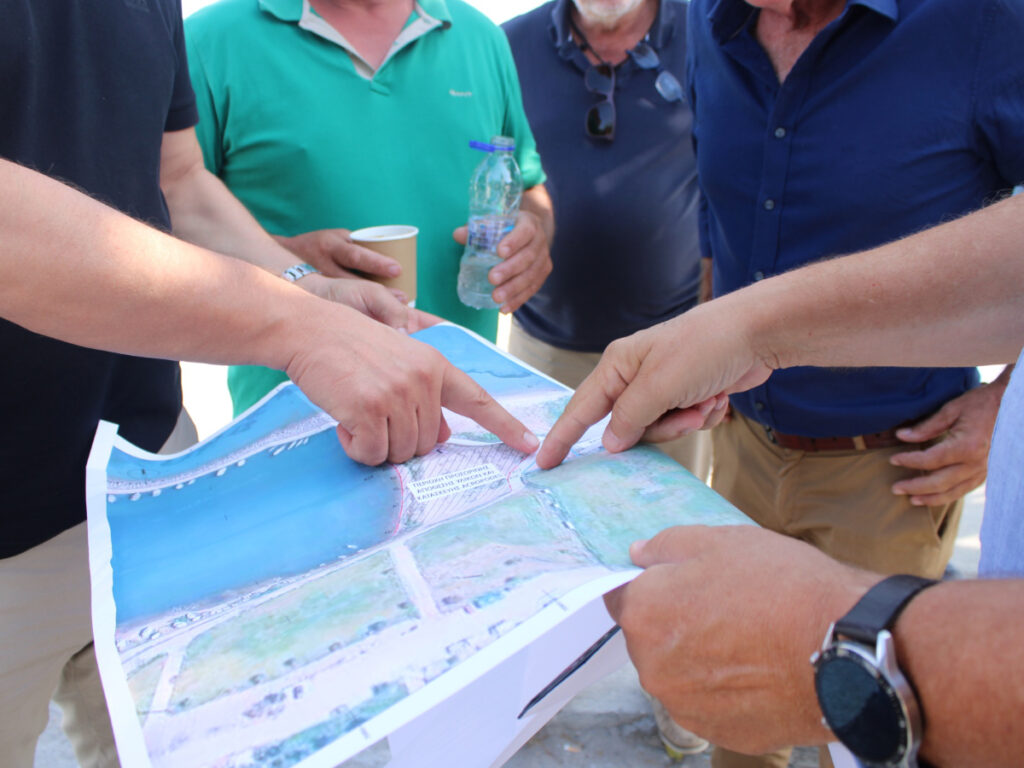 messinia-petalidi-2026-8